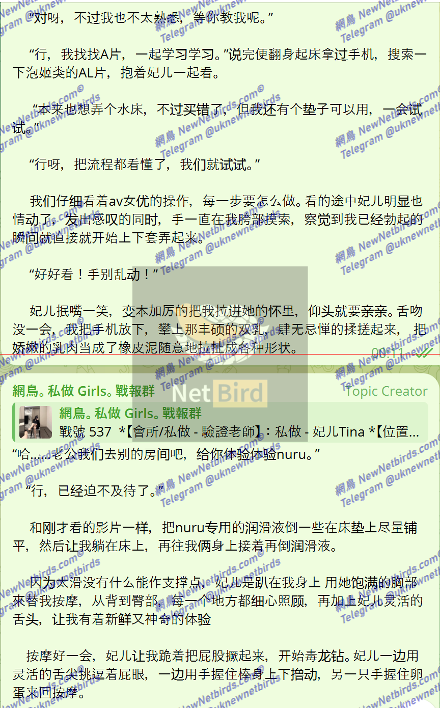 戰號 537 7.png